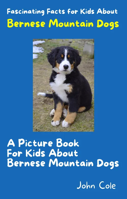 Fascinating Facts for Kids About Bernese Mountain Dogs