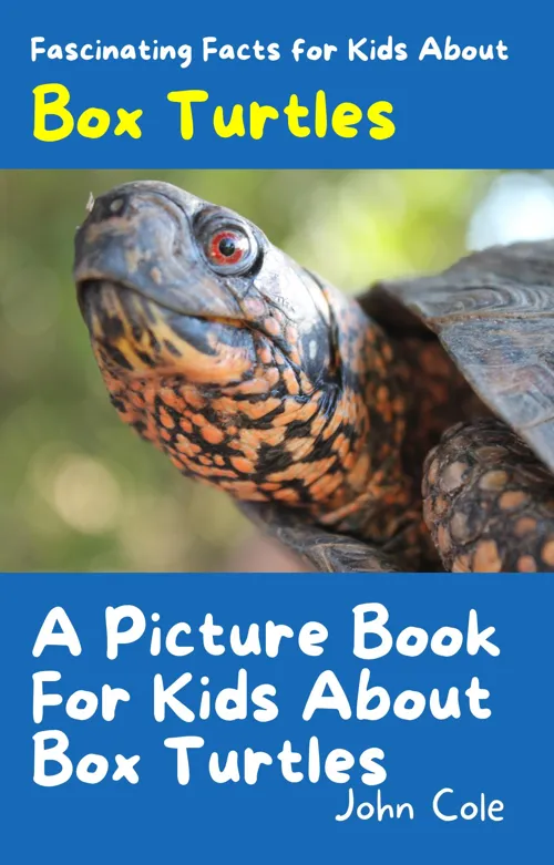 Fascinating Facts for Kids About Box Turtles