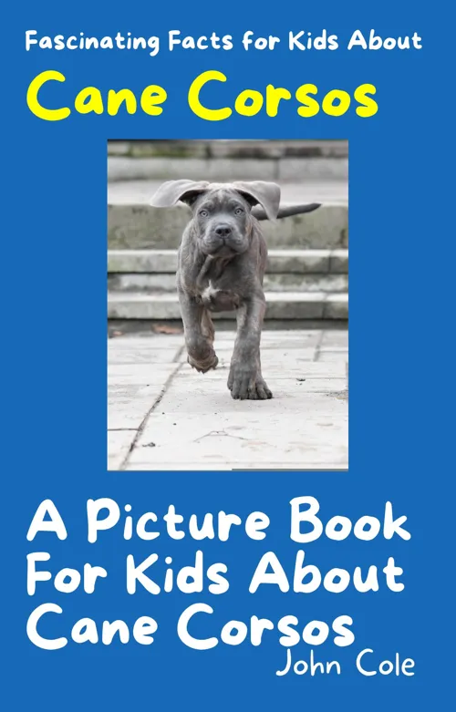 Fascinating Facts for Kids About Cane Corsos