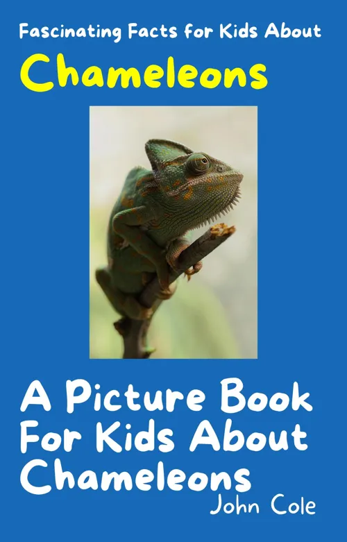 Fascinating Facts for Kids About Chameleons