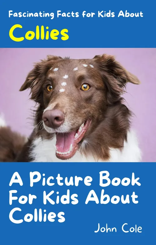 Fascinating Facts for Kids About Collies