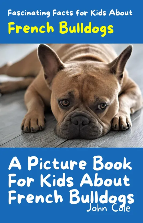 Fascinating Facts for Kids About French Bulldogs