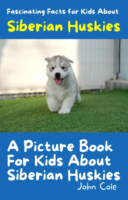Fascinating Facts for Kids About Siberian Huskies